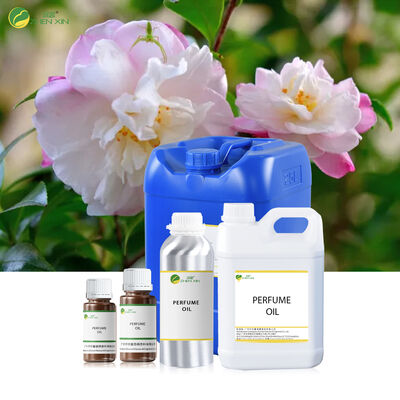 Long Lasting Perfume Oil Fragrance Designer Perfume Oil Manufacturer Custom Perfume Fragrance Perfume Arabic Concentrate